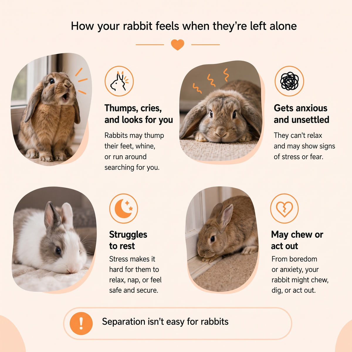 HeartBeat - Calming Bunny Plushie