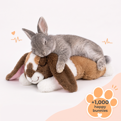 HeartBeat - Calming Bunny Plushie